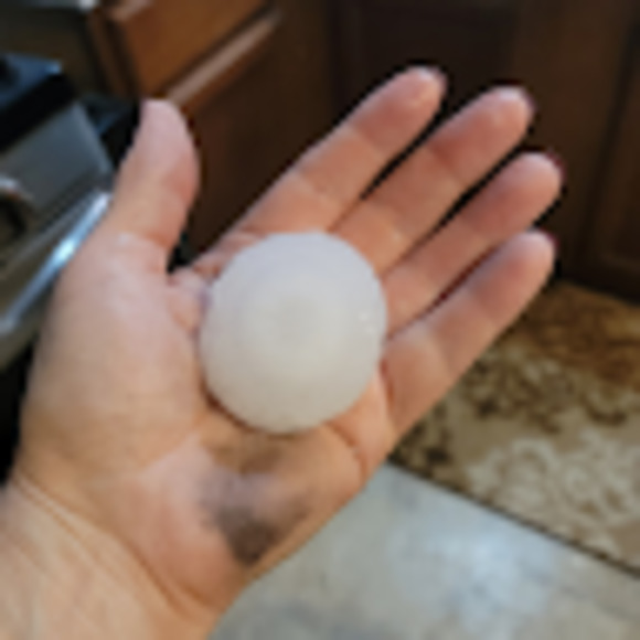 Meet your Posher, Robert - Picture 1 of 1